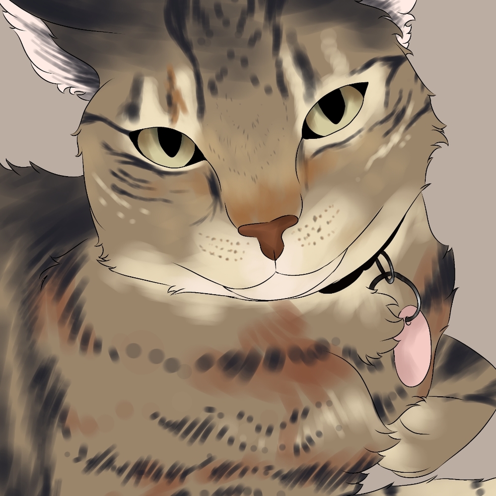 Meet your Posher, Pandora